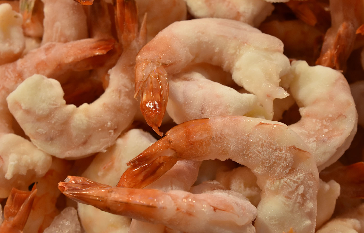 Louisiana official renews call for seafood inspection fees following shrimp recalls