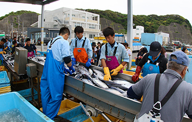 Japan's fisheries white paper outlines measures to boost fisheries in  FY2020