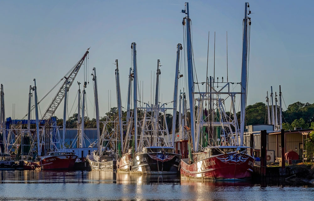 shrimping vessels