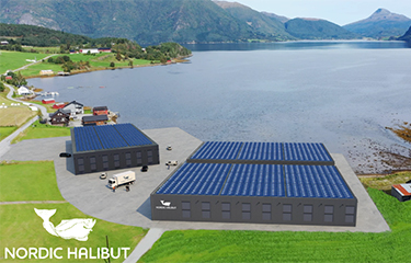 Nordic Halibut's design for its land-based halibut farm.