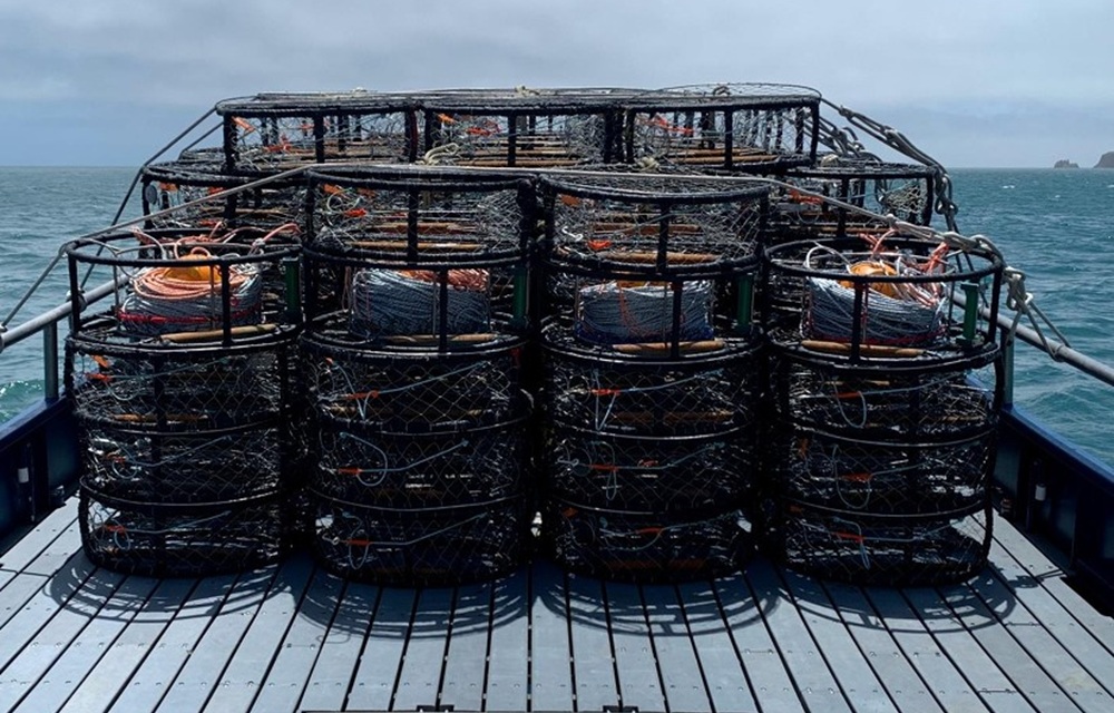california fishing nets Central California Dungeness crab fishery to close to traditional gear,  though crabbers can continue with pop-up gear