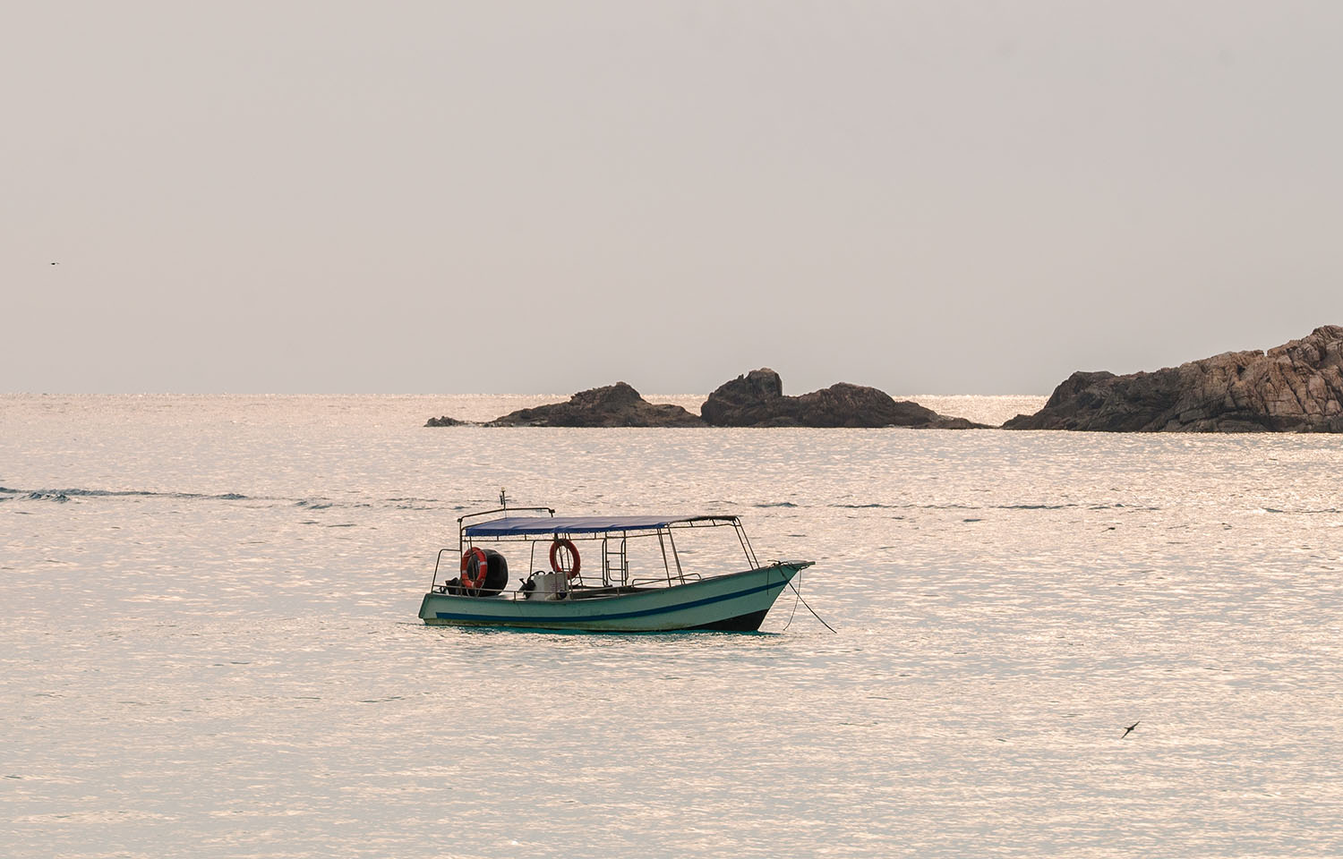 Octave Capital, Katapult Ocean launch USD 75 million ocean fund in Asia |  SeafoodSource