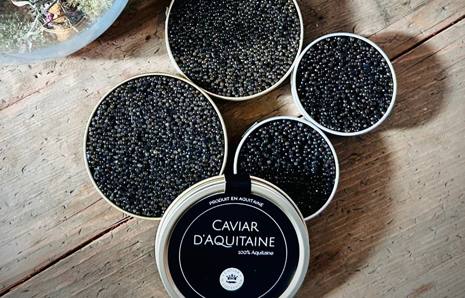 Caviar d'Aquitaine has moved to Biomar's Blue Impact feed on its sturgeon farms