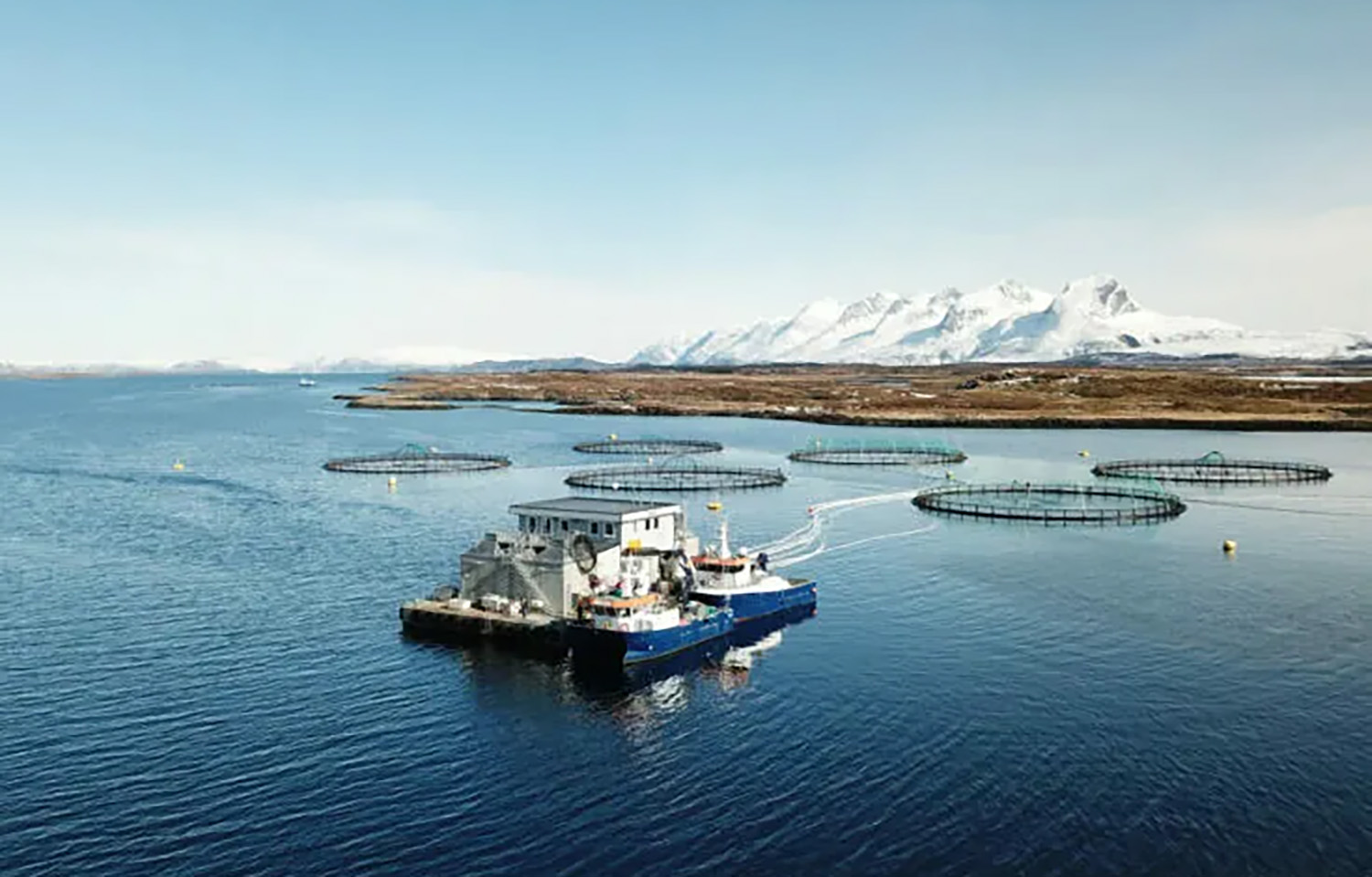 A Mowi salmon farm