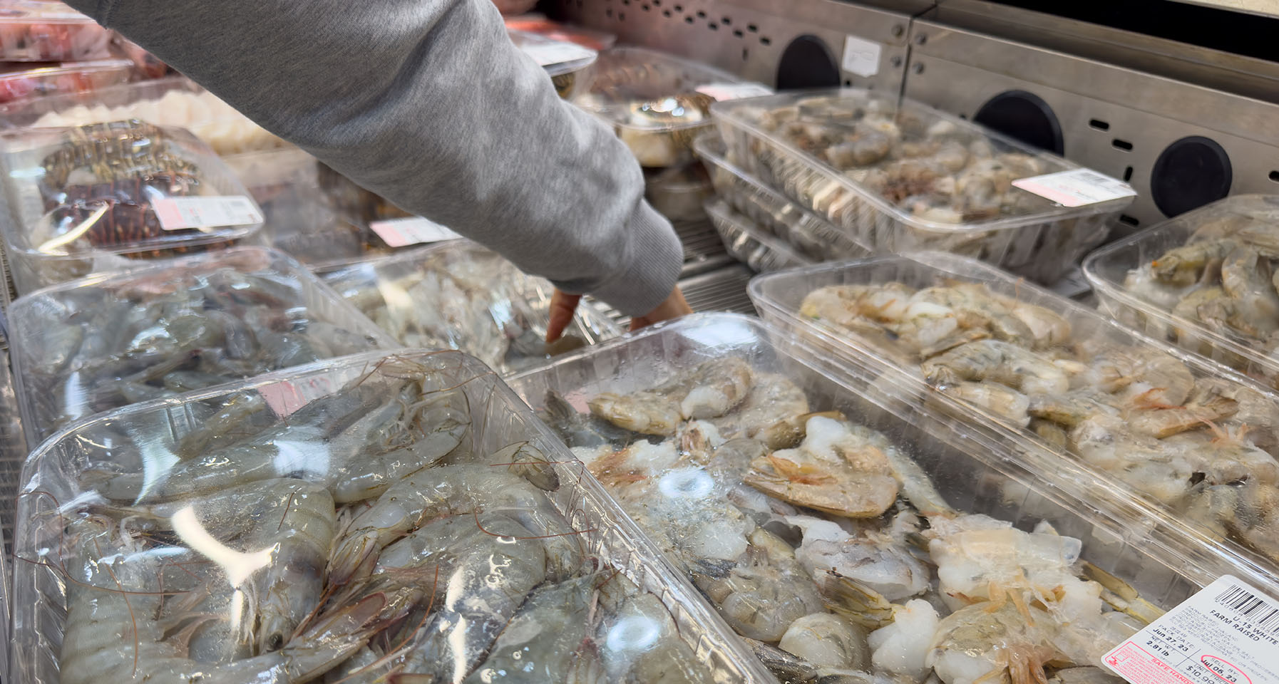 Frozen shrimp for sale
