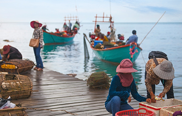 Cambodian fishing vessels.