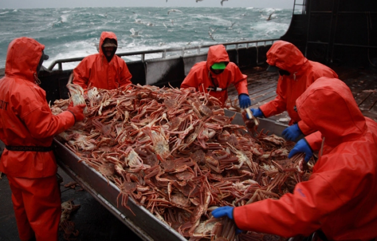 Russian crab fishers on board a vessel with their catch