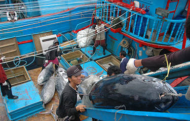 China Tuna Fishing Tackle, Tuna Fishing Tackle Wholesale, Manufacturers,  Price