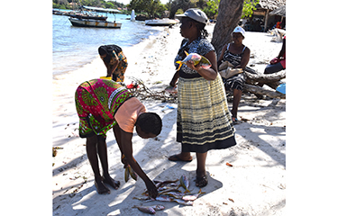 Study examines how to build resilient aquatic food systems amid COVID ...