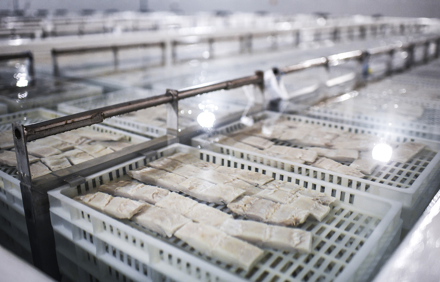 A cod processing facility in Portugal