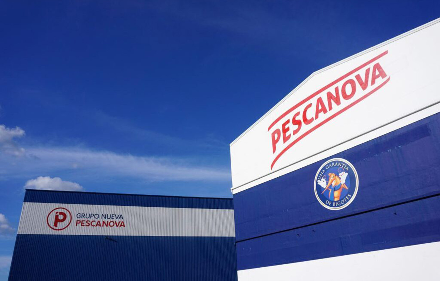 Two blue buildings owned by Nueva Pescanova