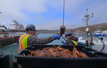Newfoundland snow crab fishing impasse ends after agreement on CAD