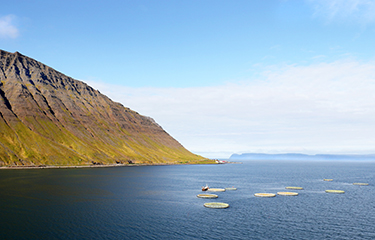 An aquaculture installation in Iceland.