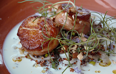 Parke scallops NL.jpg