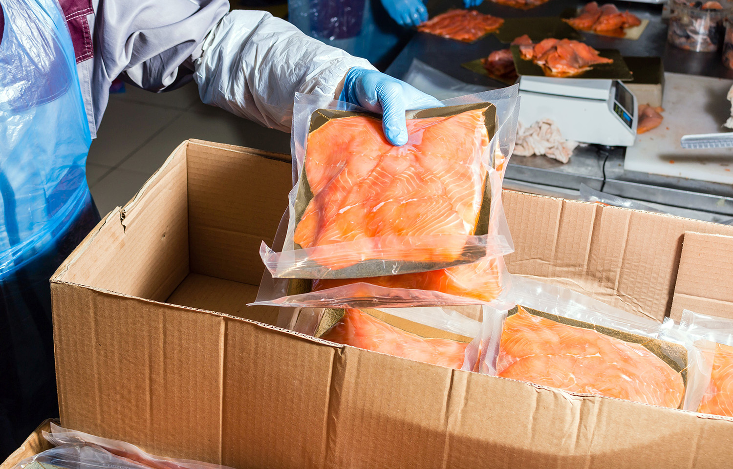 A production worker puts salmon into a box for transportation