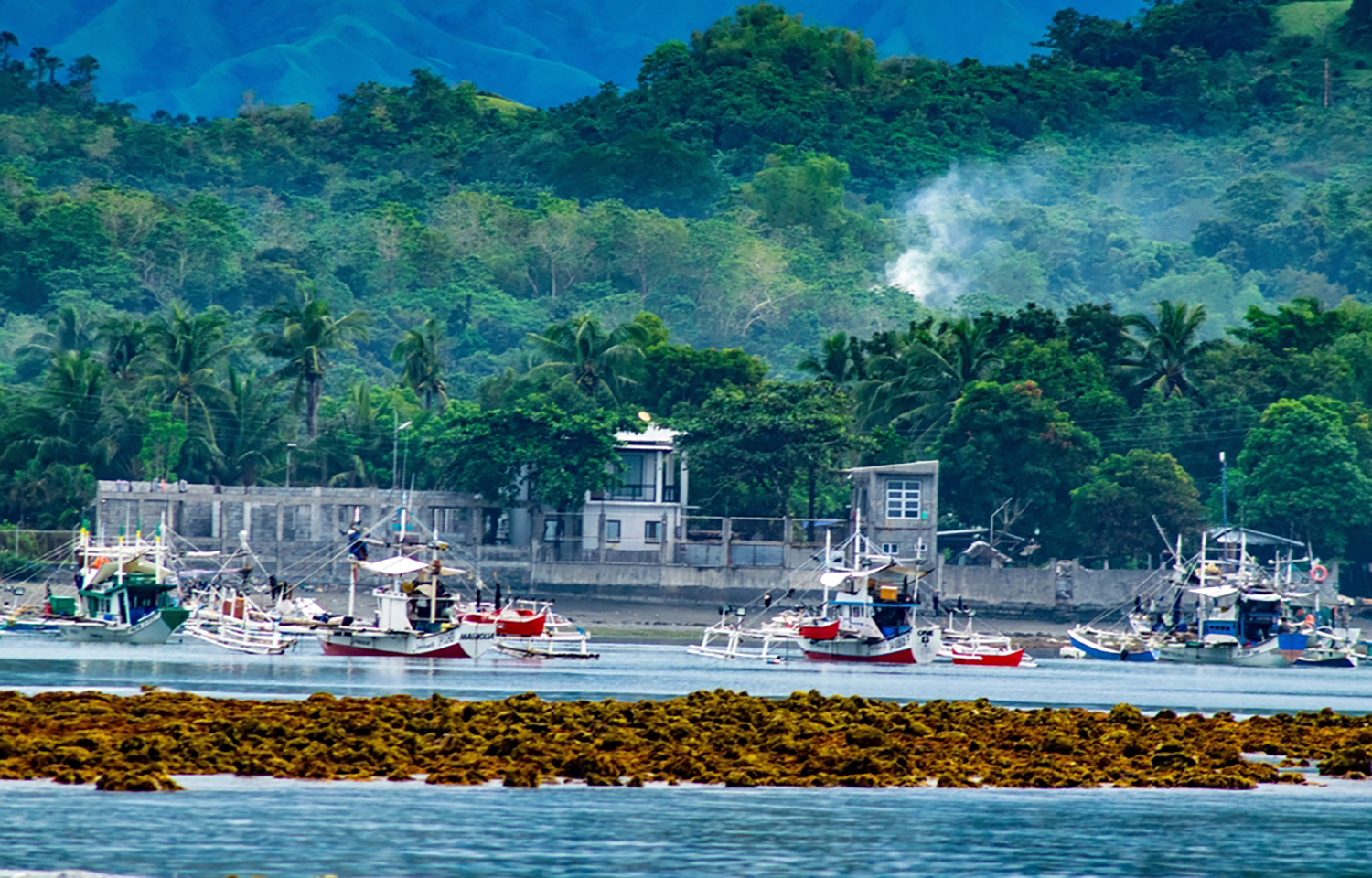 Philippines weighs increase in fish imports, subsidies as fuel costs squeeze seafood sector