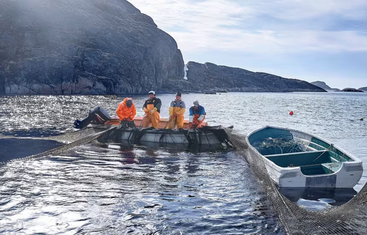 Royal Greenland posts lower revenue but better earnings and profit in H1 2025