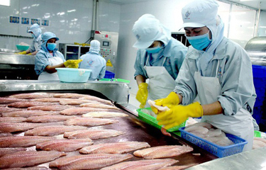 Vietnam fears coronavirus may disrupt its fisheries exports to China ...