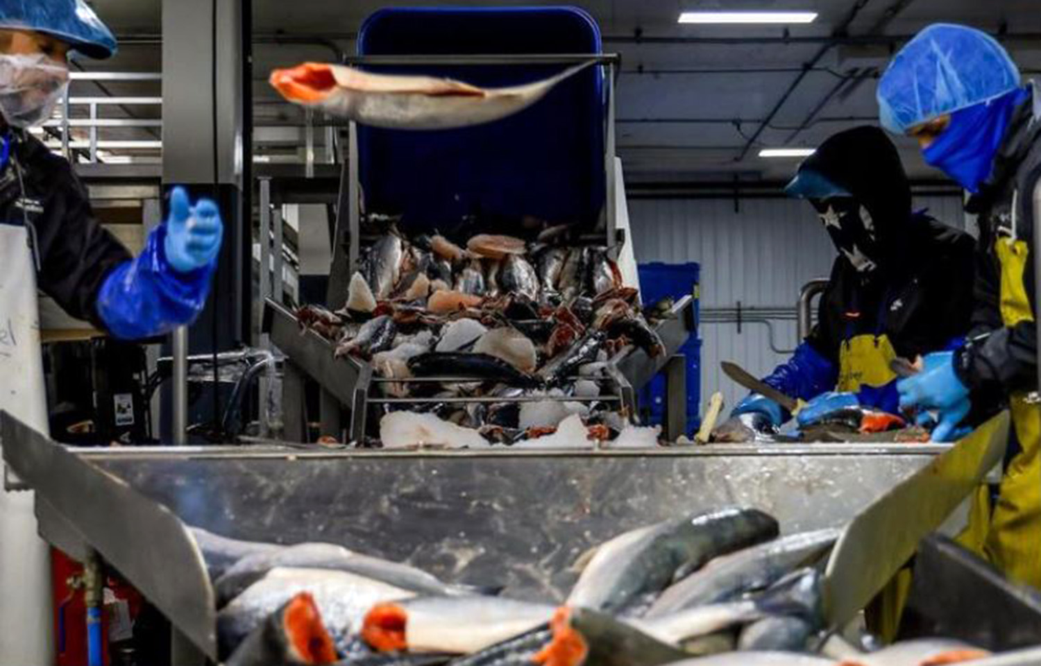 Whittier Seafood's processing facility