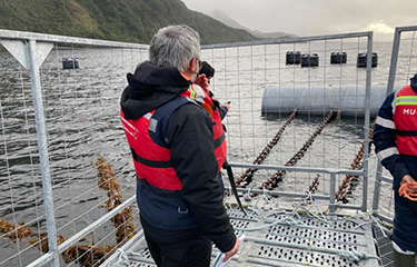 Chile's Superintendencia del Medio Ambiente (Superintendency of the Environment) inspectors at a Cermaq facility.