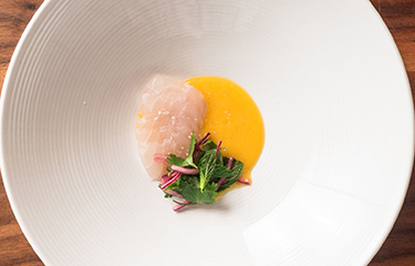 pacifico - mikel crawford-NL.jpg
