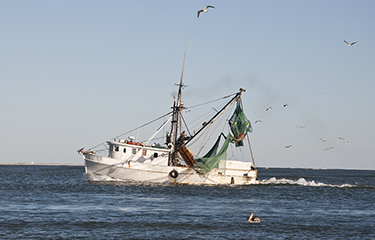 Court sides with North Carolina shrimpers on Clean Water Act