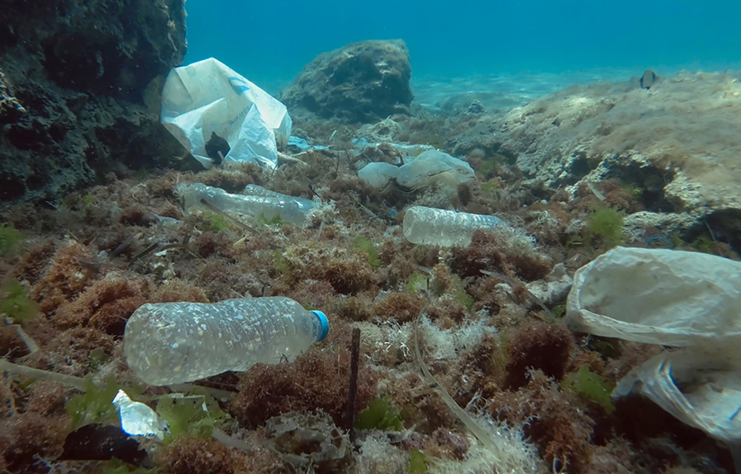 Plastic pollution in the Mediterranean Sea