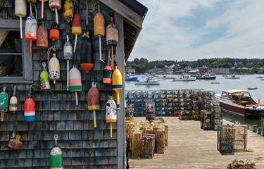 Seafood translation guide helps connect new Mainers with local products