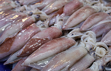 Squid fishing vessels take advantage of unregulated waters •
