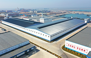 Jinghai Group seeks national designation for new seafood base in