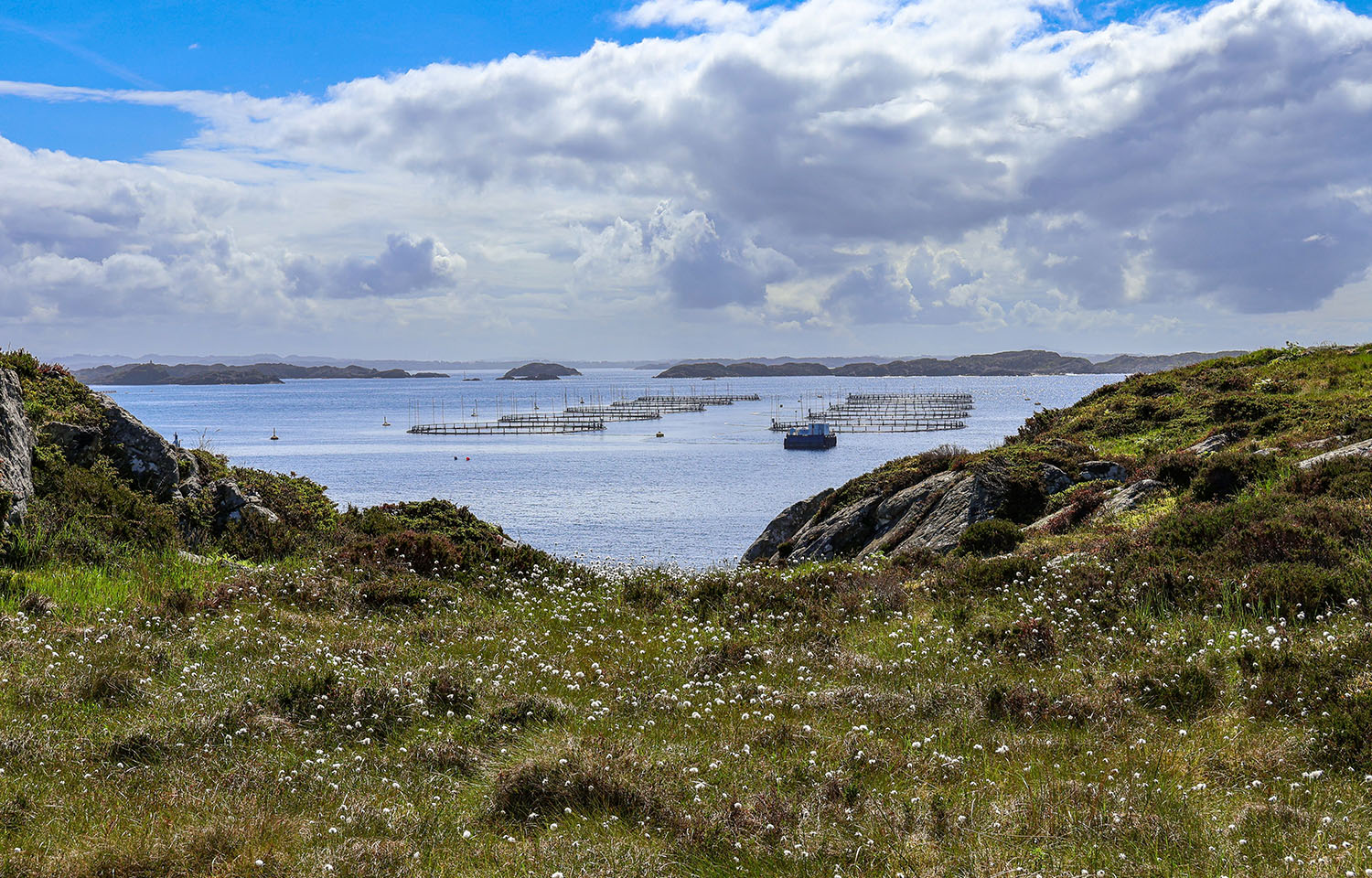 Norwegian salmon farm