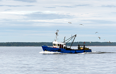 Cyprus Sea Lines says fishing net was catalyst for Aussie bulker ban