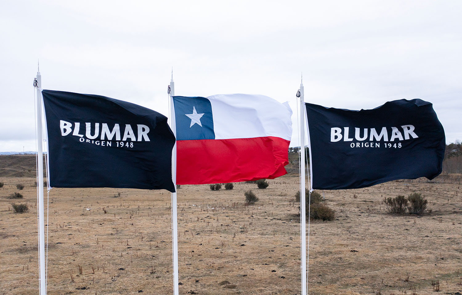 Two Blumar flags flanking a Chilean flag