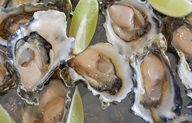 Raw oysters on the half shell with lime