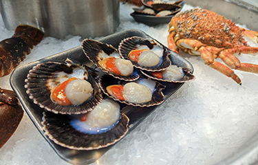 Scallops sourced by Wales-based Ocean Bay Seafood