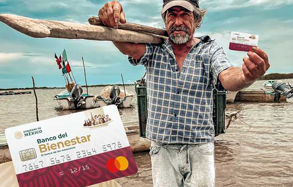Bienpesca cards