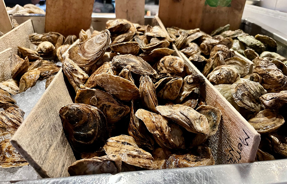 A selection of oysters at a seafood market
