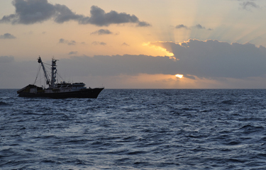 Tri Marine was recognized as the first tuna-trading company to achieve ISO 22005:2007 certification from Det Norske Veritas (DNV).