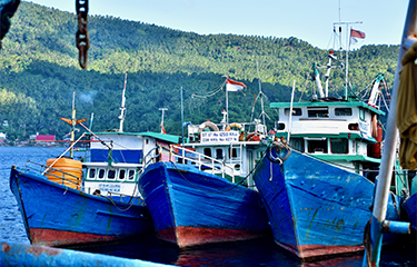 Three fishing boats lined up.