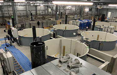 Proximar's hatchery facility in Japan.