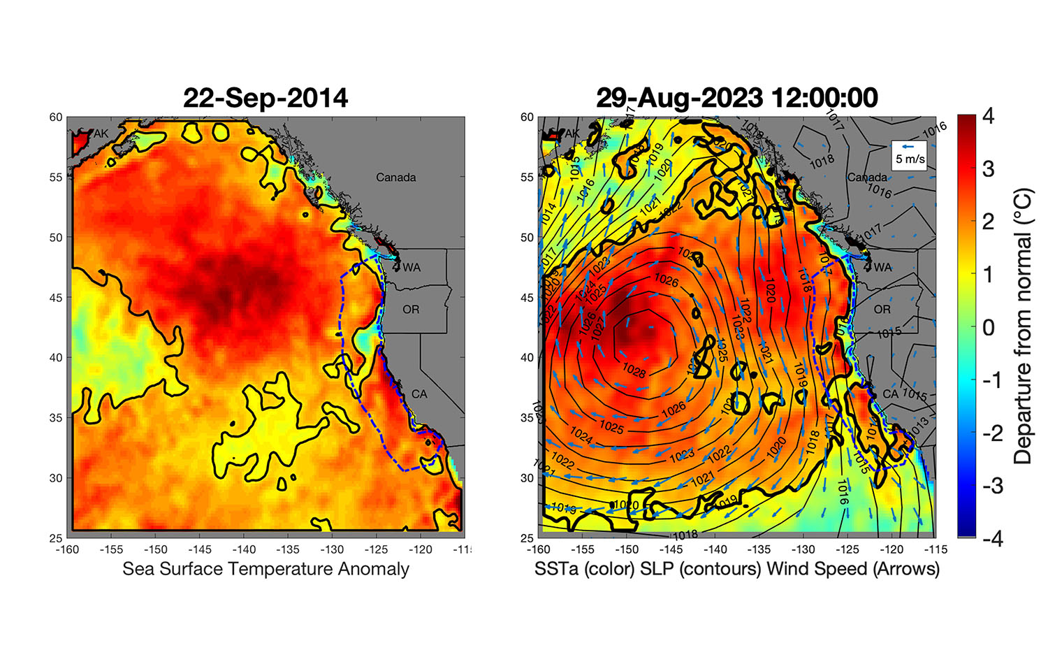 Researchers develop new method to measure the effects of marine heat waves