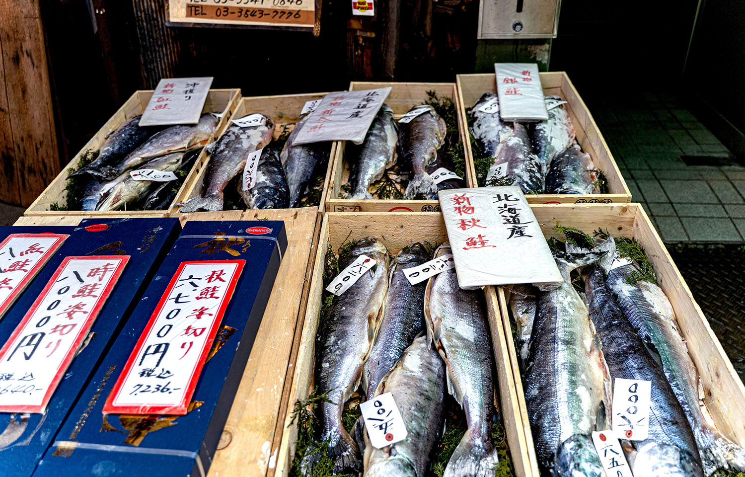 salmon for sale in Tokyo
