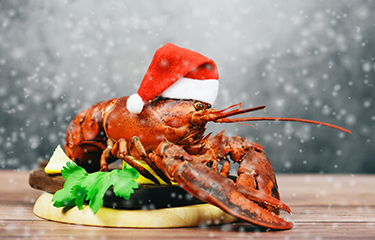 A cooked lobster wearing a Santa hat.