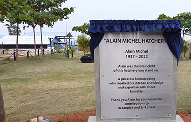 A tribute to Alain Michel at Oceanpick's hatchery in Sri Lanka.