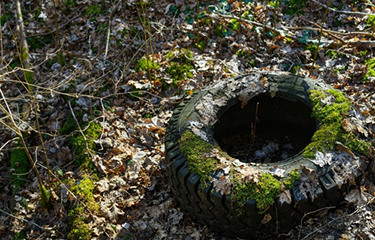 A photo of a discarded tire.