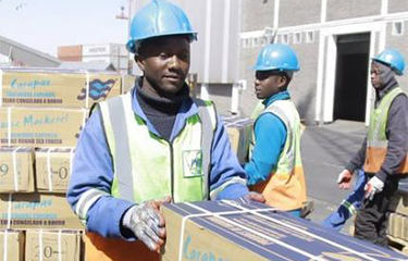 Oceana Group workers stacking boxes of horse mackerel in Namibia