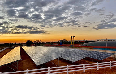 CP Foods solar panels at sunset.
