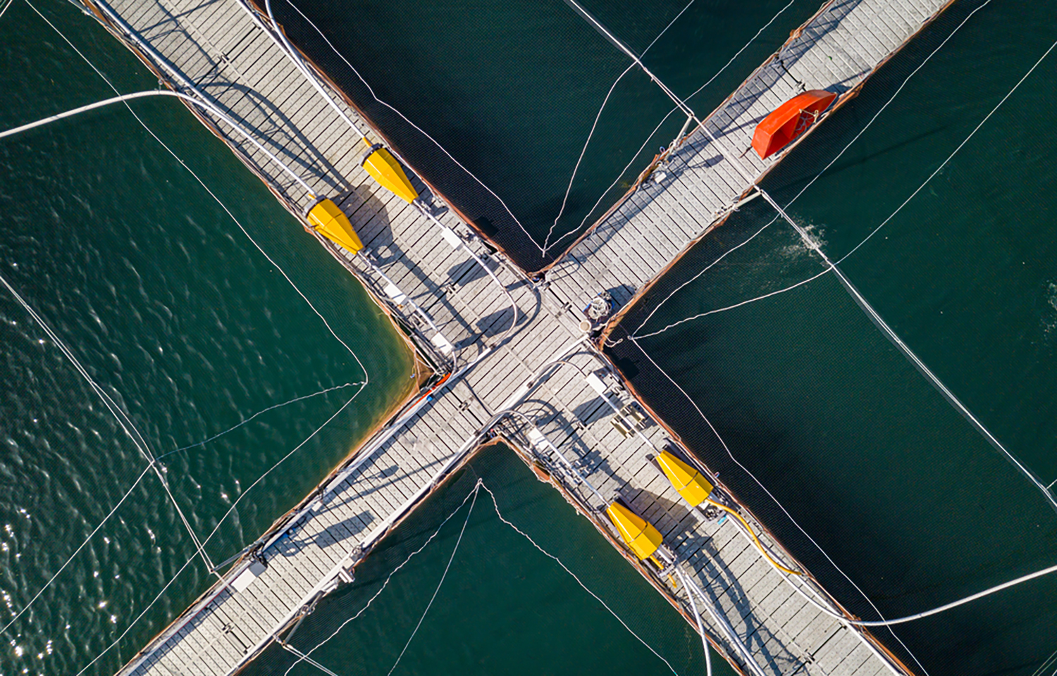 An aerial shot of a Chilean aquaculture net pen