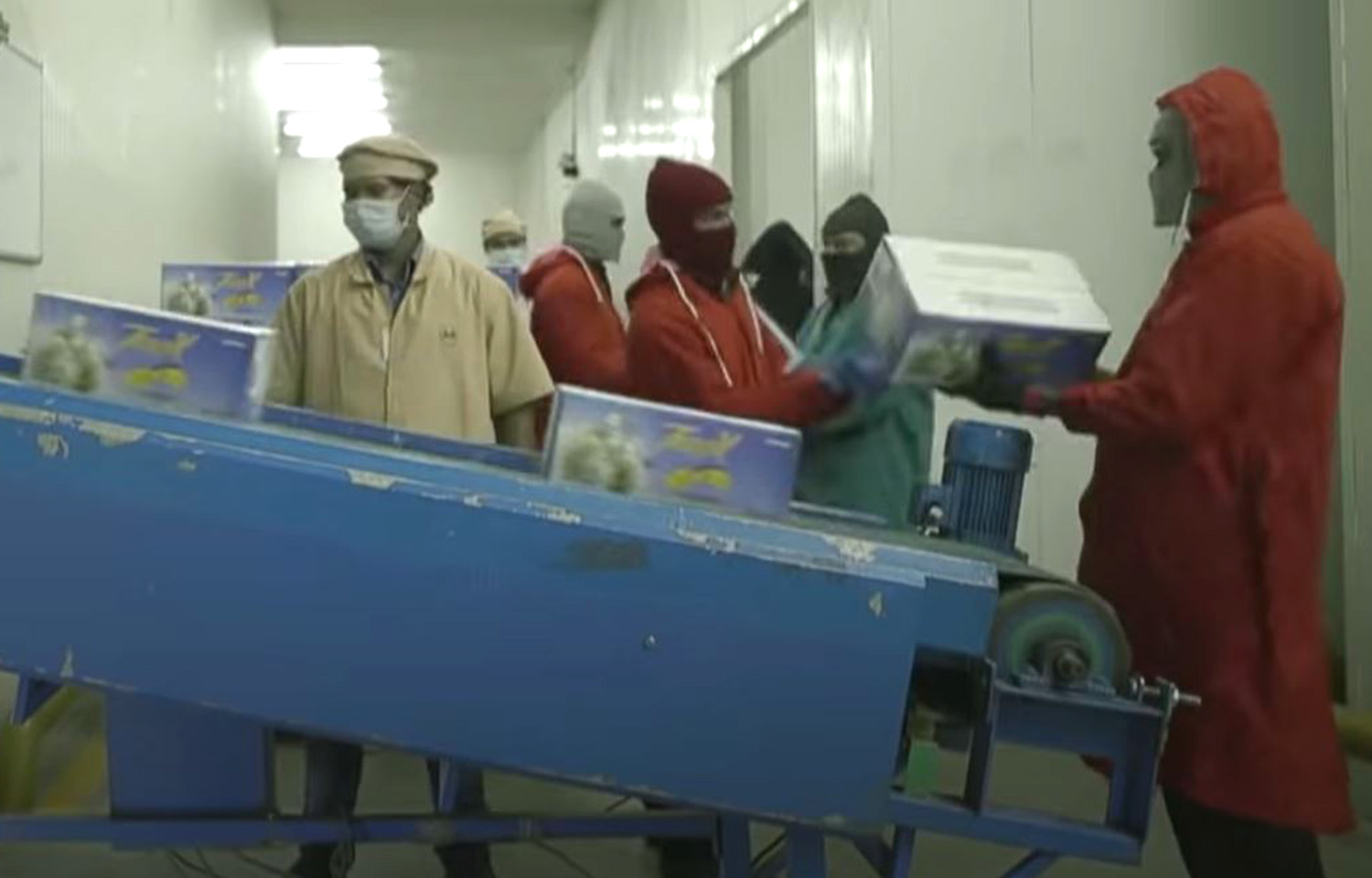 A Falcon Marine shrimp-export facility