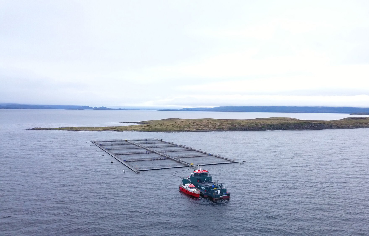 Chile relaxes regulation to clear path for multitrophic aquaculture at salmon farms